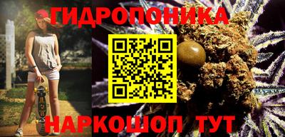 МДПВ Лесосибирск