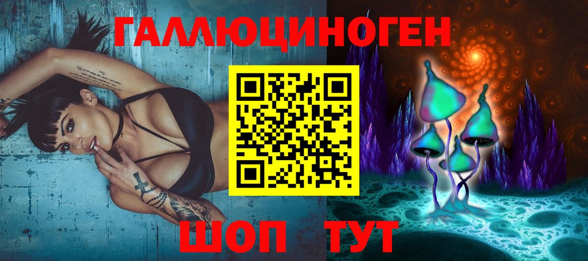 Десногорск  Галлюциногенные грибы Psilocybine cubensis  хочу   Вход с VPN 